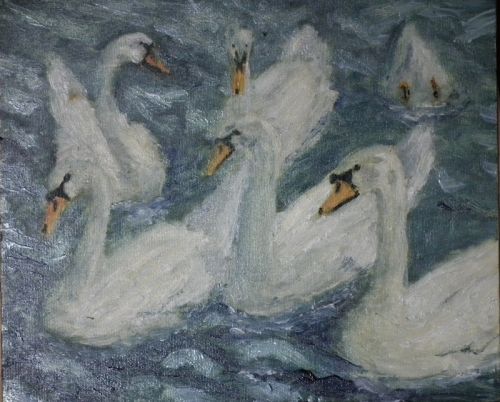 Fighting Swans